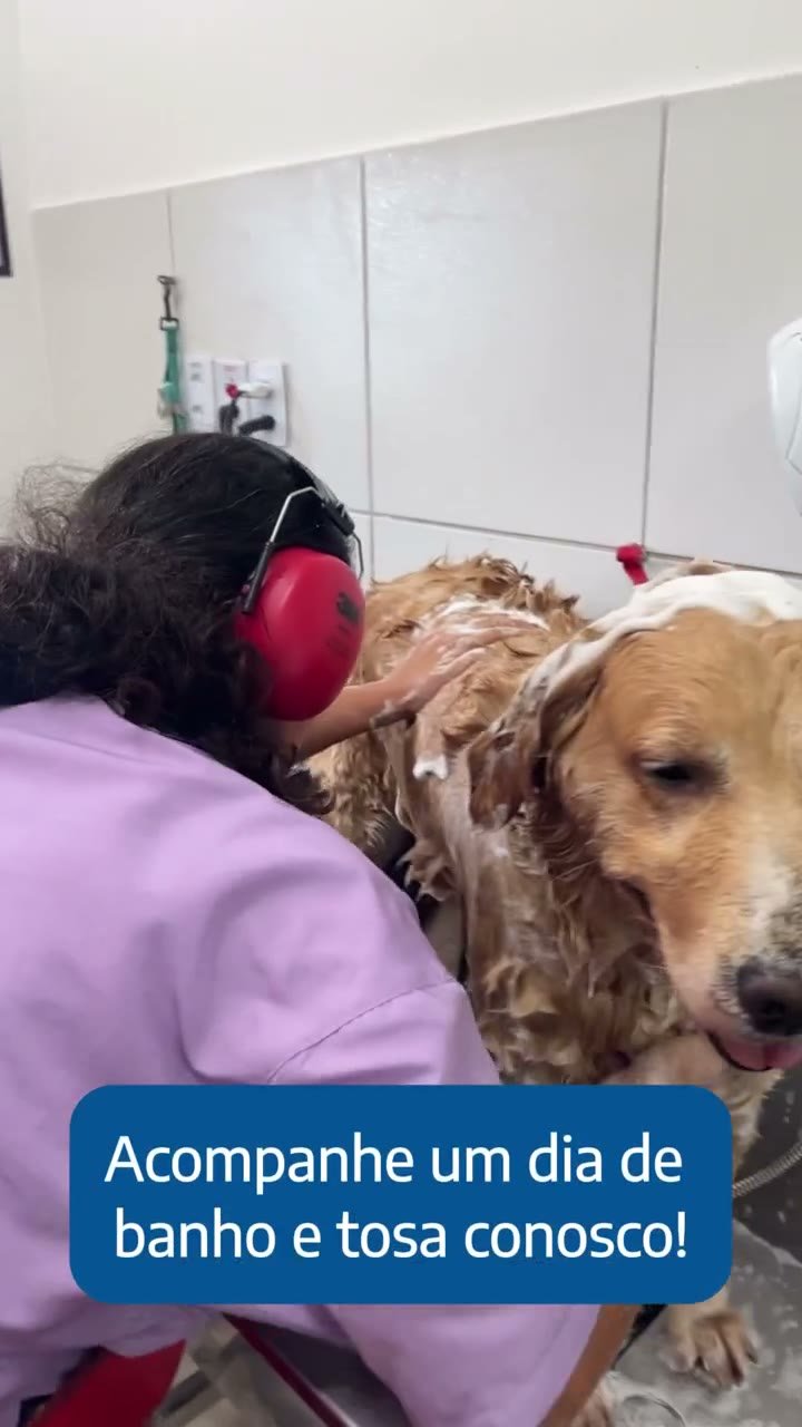 Veterinários - Banho